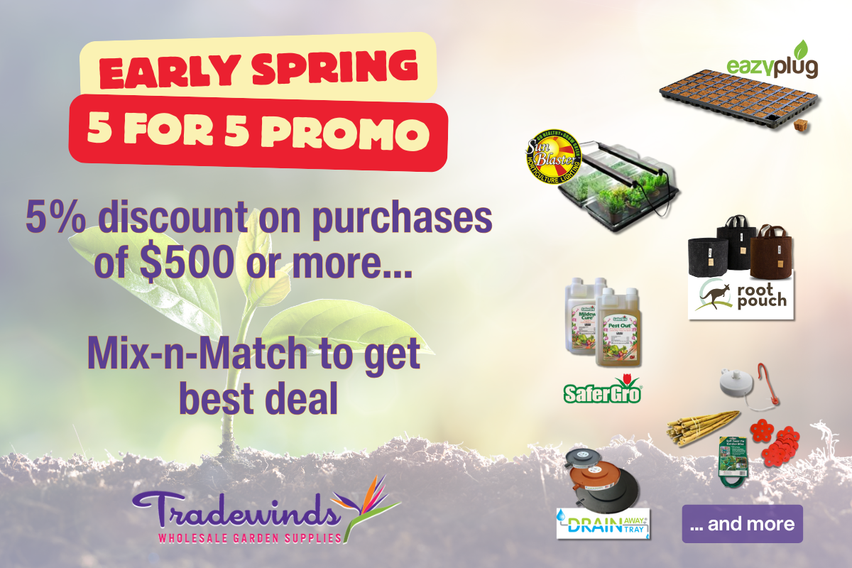 Early Spring 5 for 5 Promo