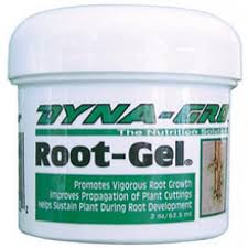 Dyna-Gro Root Gel 2 Ounce