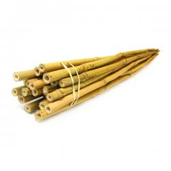 Bamboo Stakes 48" (6pk) 