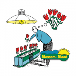 Blossom Blood